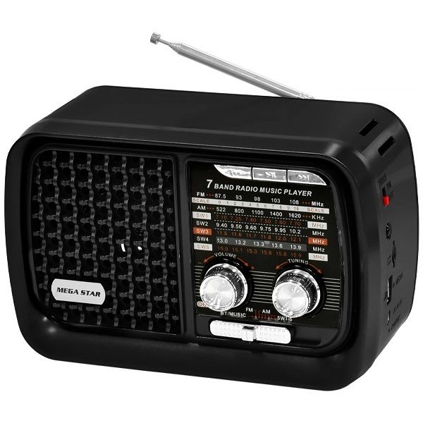 Comprá Radio Portátil Megastar RX1906BT AM/FM - Black - Envios a todo el  Paraguay