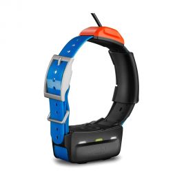 Comprá Online GPS Garmin T5 Mini collar para perro - Azul con el envío más  rápido del Paraguay