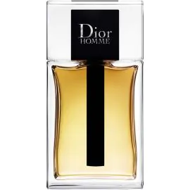 Perfume Christian Dior Homme EDT - Masculino 100mL