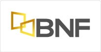 Banco BNF 12 cuotas