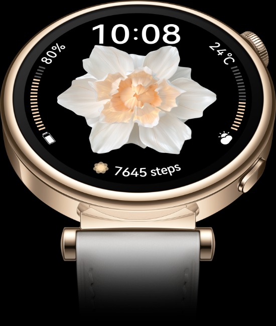 Comprá Reloj Smartwatch Huawei GT4 ARA-B19 B19 41mm - Envios a
